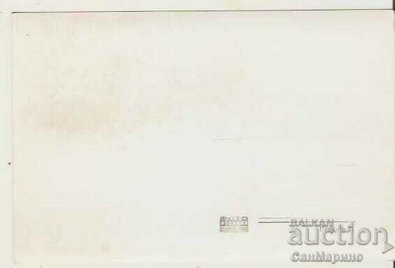 Card Bulgaria Vidin, Fortress "Baba Vida" 18* with price 2.50 BGN | € 1.28 Card Bulgaria Vidin, Fortress "Baba Vida" 18* with price 2.50 BGN | € 1.28