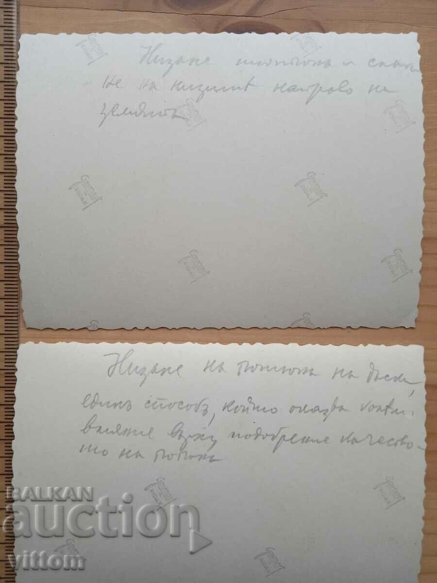 Stringing tobacco in a new way 2 old photos with price 10.00 BGN | € 5.11