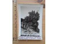 Бадемово дърво разсадник село Свирачи стара снимка