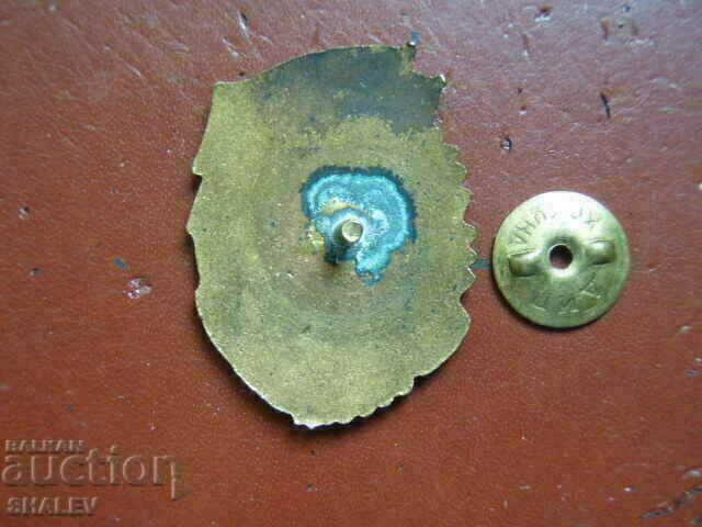 Нагръден знак "ОТЛИЧНИК по бойната и полит. подготовка" IIст - 6