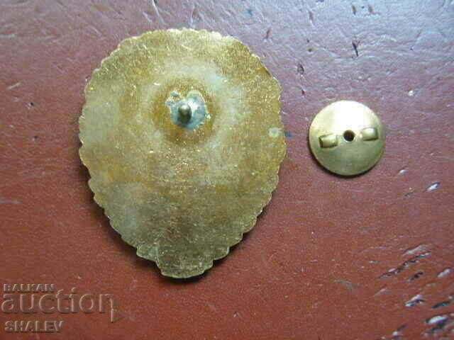 Σήμα "ΔΙΑΚΡΙΤΙΚΟ ΤΩΝ ΣΙΔΗΡΟΔΡΟΜΙΚΩΝ ΣΤΡΑΤΕΥΤΗΡΙΩΝ ΤΗΣ NRB" - 6