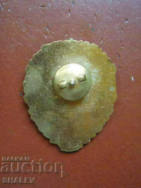 Badge "DISTINCT OF THE RAILWAY TROOPS OF THE NRB" - 7 Badge "DISTINCT OF THE RAILWAY TROOPS OF THE NRB" - 7