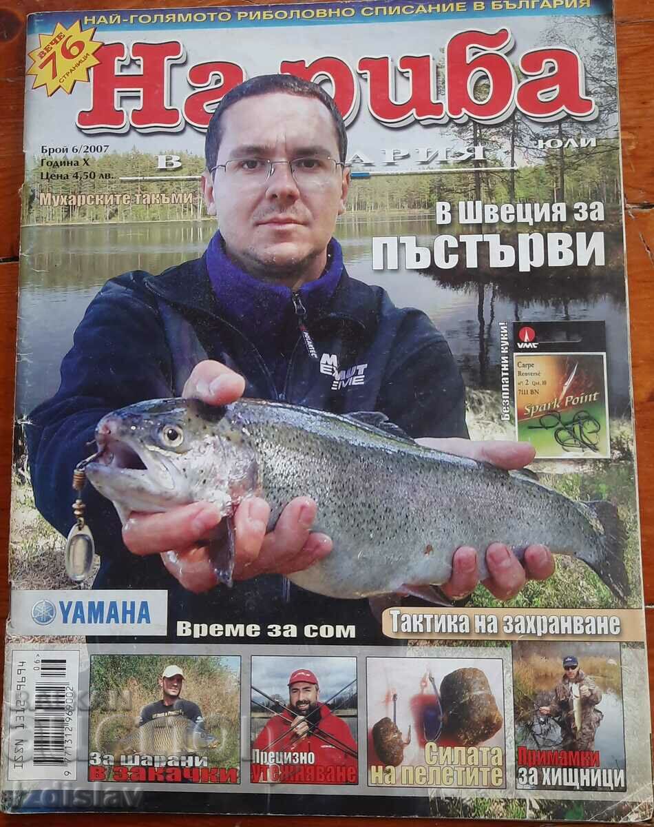 About fish magazine