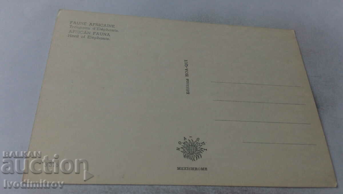 African Fauna Head of Elephants Postcard with price 0.85 BGN | € 0.43 African Fauna Head of Elephants Postcard with price 0.85 BGN | € 0.43