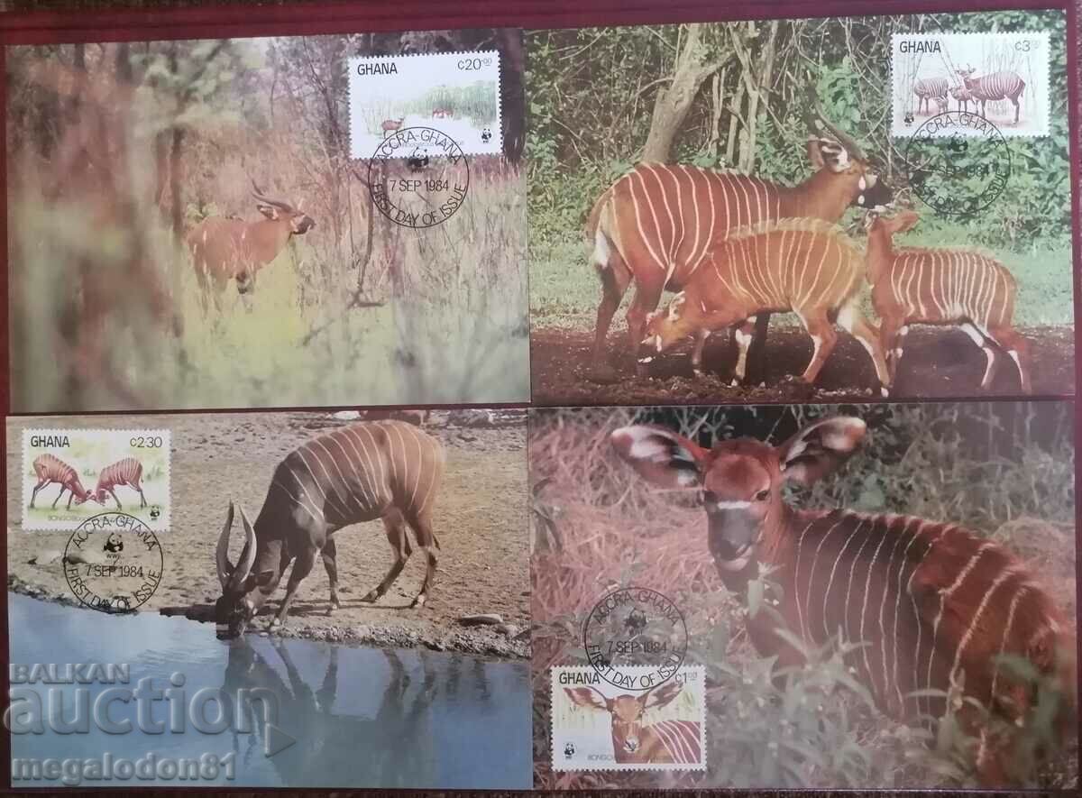 Гана - WWF - антилопа