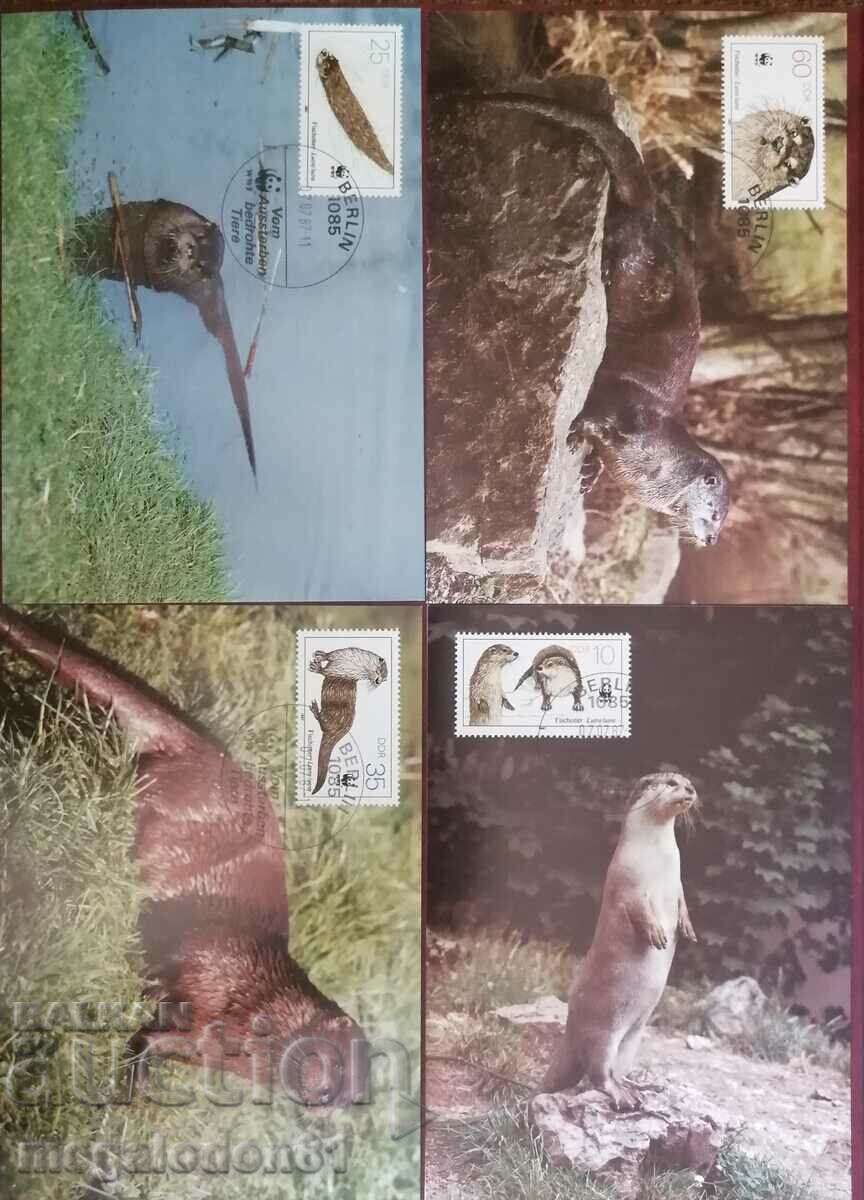 GDR - WWF - otter