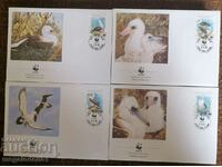 Christmas Islands - WWF, fauna, seabirds