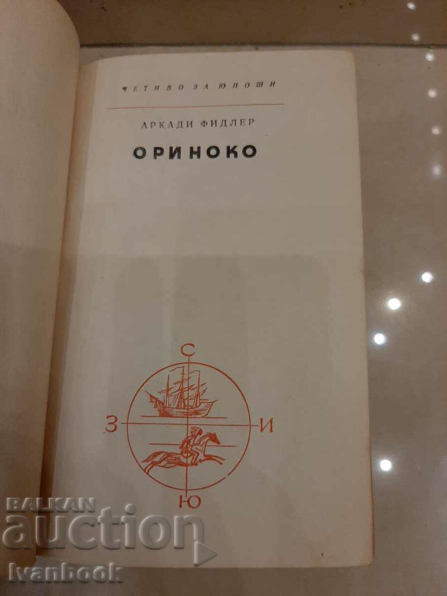 Auction Library - Reading for teenagers - Orinoco Auction Library - Reading for teenagers - Orinoco