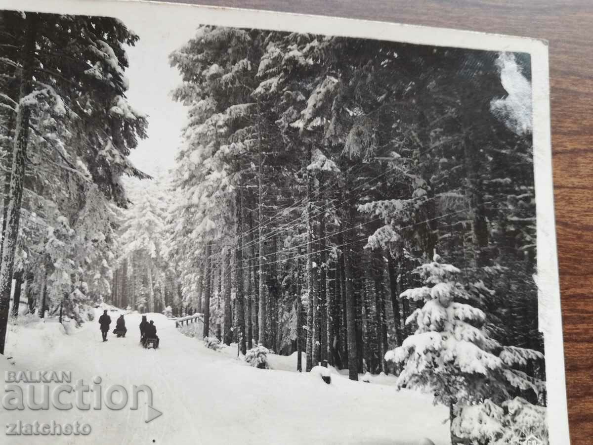 Βασίλειο Βουλγαρίας - Τσαμ - Κορία με τιμή 12.00 BGN | € 6.14 Βασίλειο Βουλγαρίας - Τσαμ - Κορία με τιμή 12.00 BGN | € 6.14