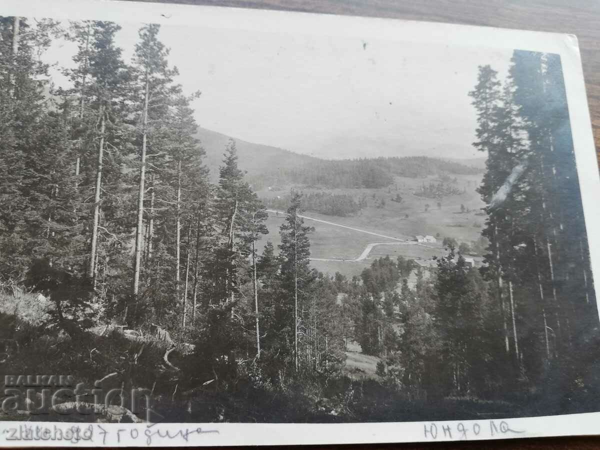 PK Kingdom of Bulgaria - Yundola with price 12.00 BGN | € 6.14