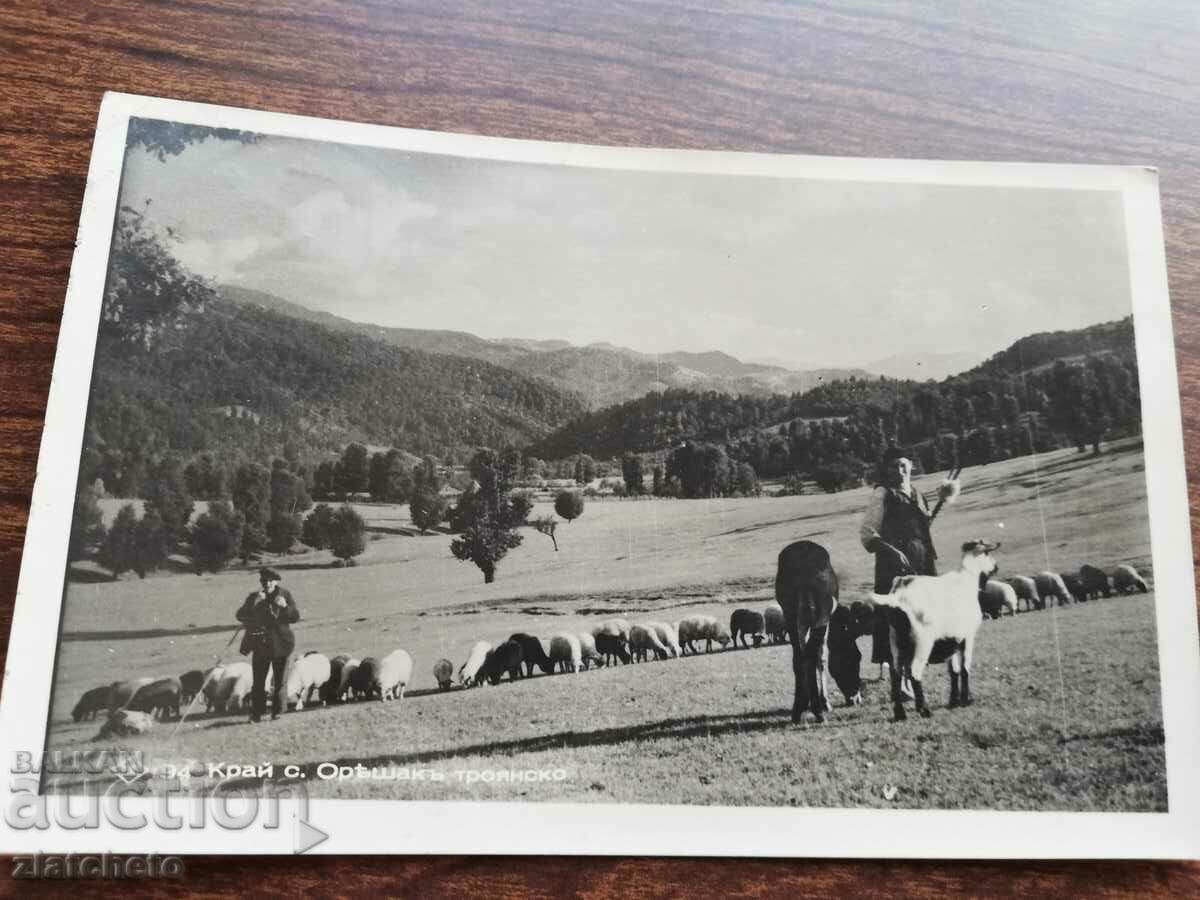 Kingdom of Bulgaria - village of Oreshak. Trojan with price 12.00 BGN | € 6.14 Kingdom of Bulgaria - village of Oreshak. Trojan with price 12.00 BGN | € 6.14