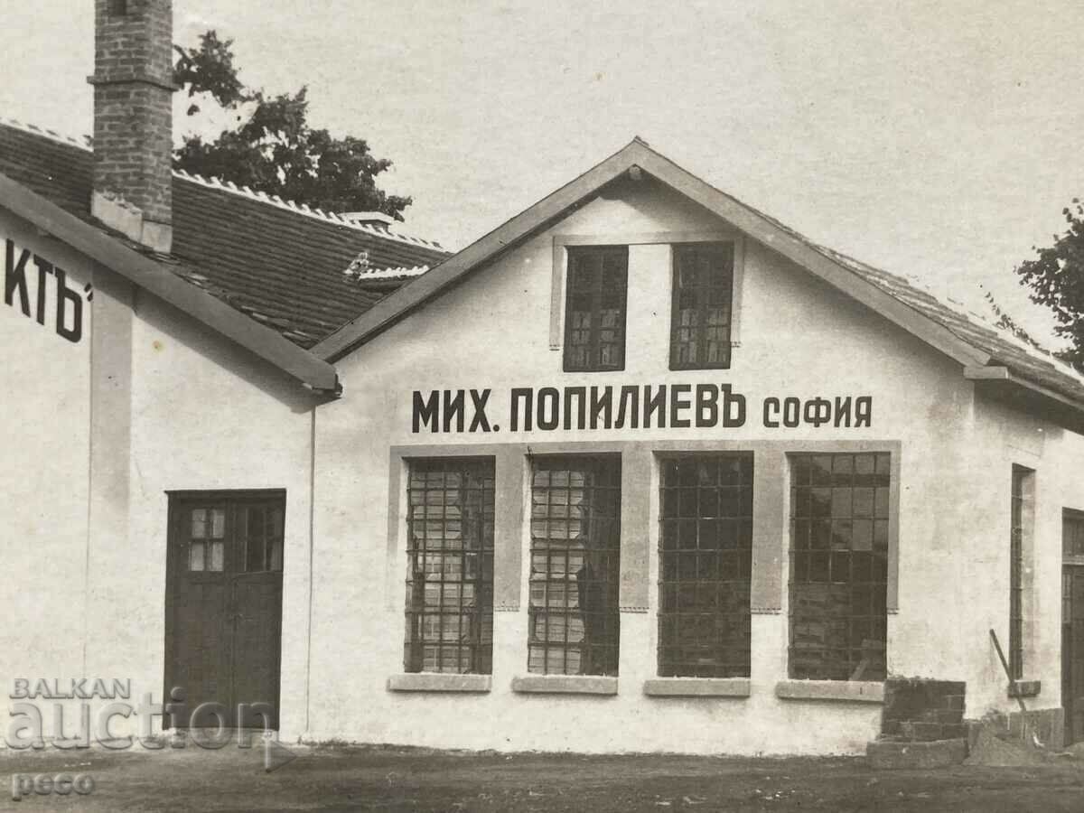 Auction Sofia Warehouse "Bulgarfruit" Doncho Tsonchev Mich. Popiliev Sofia Auction Sofia Warehouse "Bulgarfruit" Doncho Tsonchev Mich. Popiliev Sofia