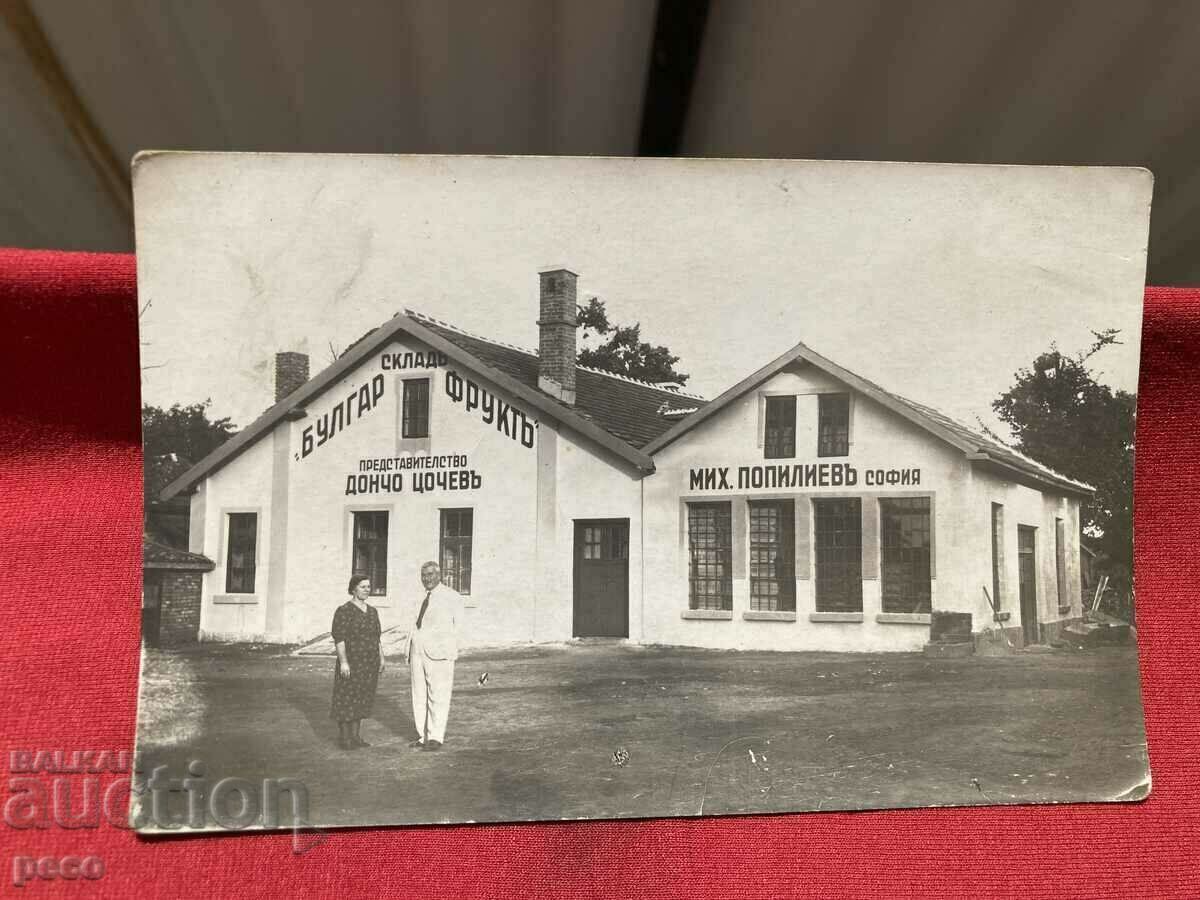 Sofia Warehouse "Bulgarfruit" Doncho Tsonchev Mich. Popiliev Sofia - 6 Sofia Warehouse "Bulgarfruit" Doncho Tsonchev Mich. Popiliev Sofia - 6