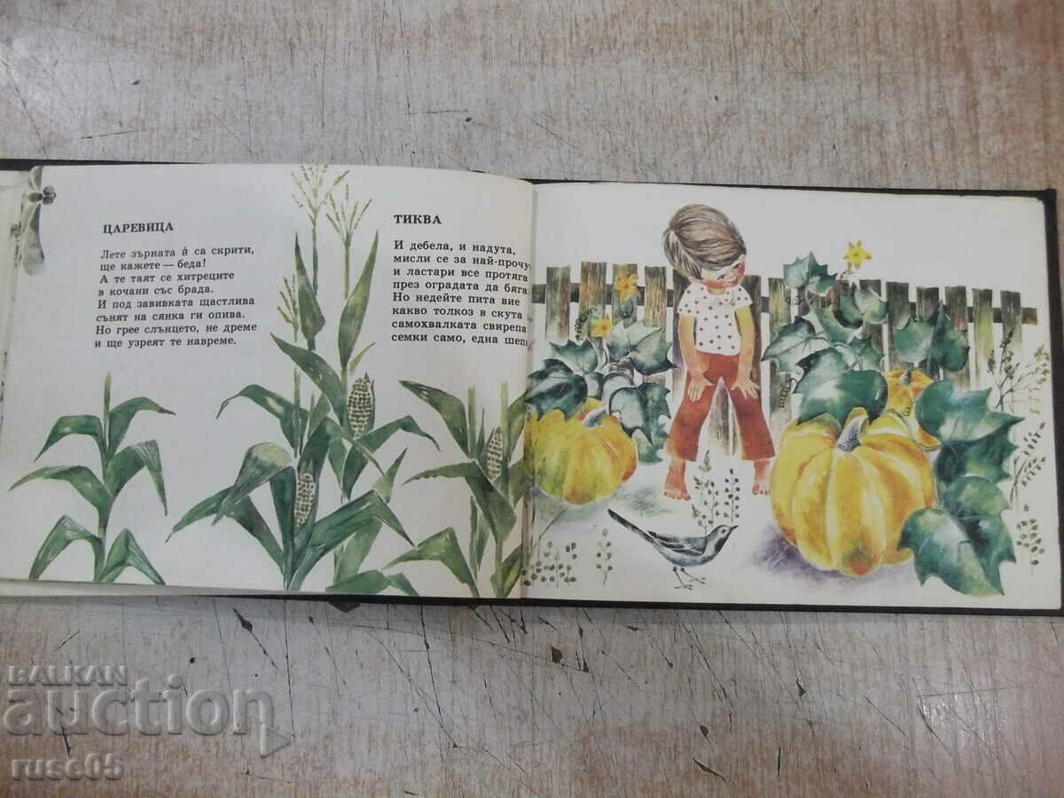 Auction Book "My garden - A. Platner" - 16 pages. Auction Book "My garden - A. Platner" - 16 pages.