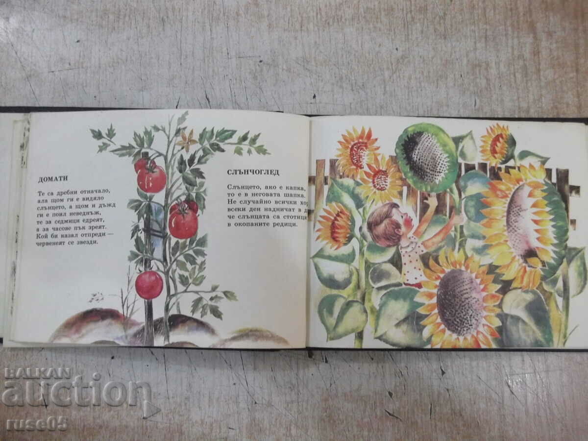 Delivery of Book "My garden - A. Platner" - 16 pages. Delivery of Book "My garden - A. Platner" - 16 pages.