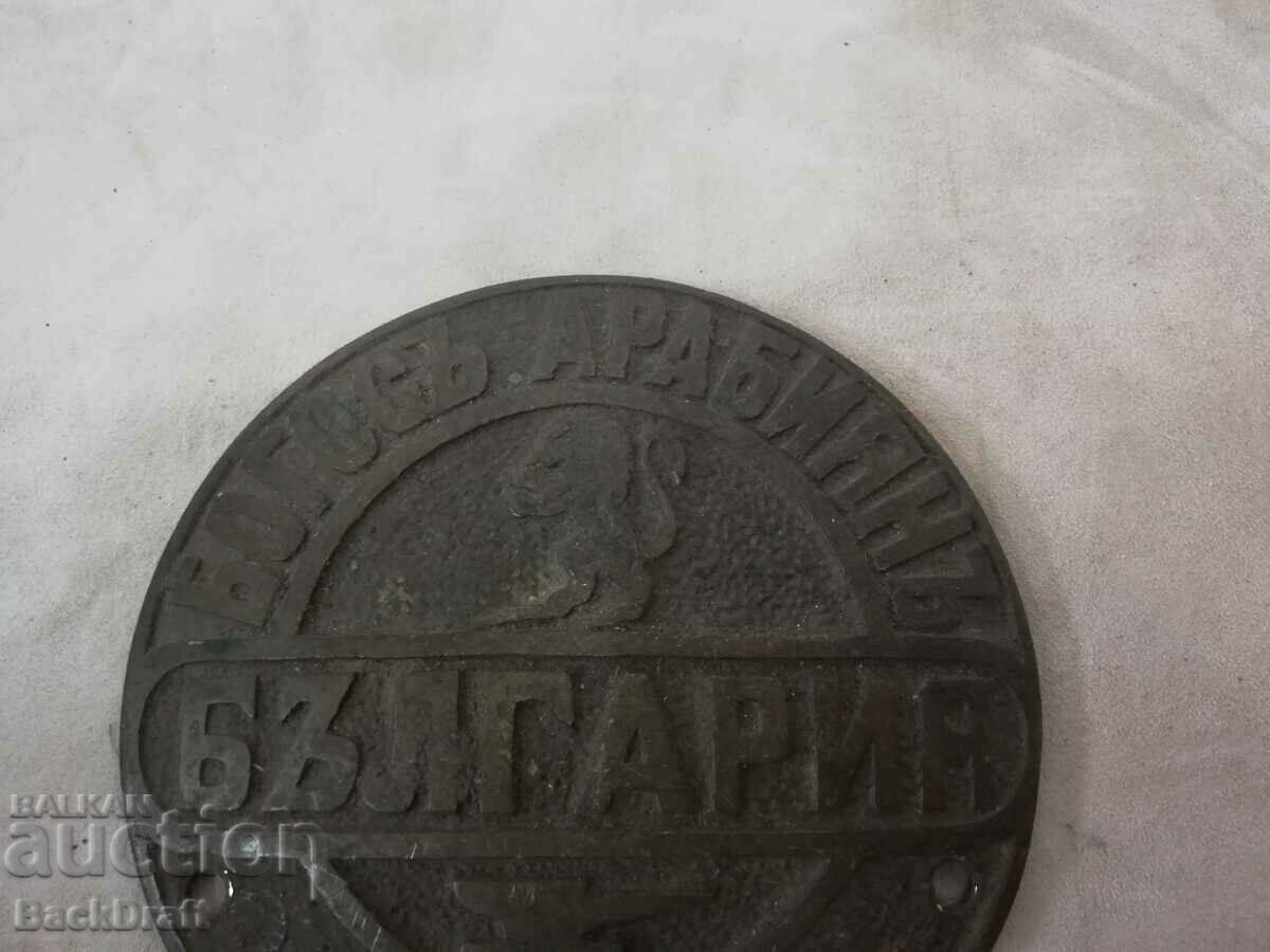 Royal bronze plate from a safe, Bogoso Arabian Treasury, Varna with price 380.00 BGN | € 194.29 Royal bronze plate from a safe, Bogoso Arabian Treasury, Varna with price 380.00 BGN | € 194.29