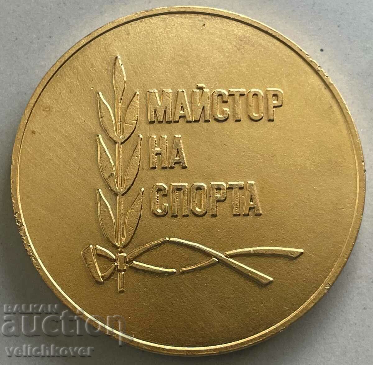 33011 Bulgaria Golden Master of Sports award plaque with price 20.00 BGN | € 10.23 33011 Bulgaria Golden Master of Sports award plaque with price 20.00 BGN | € 10.23