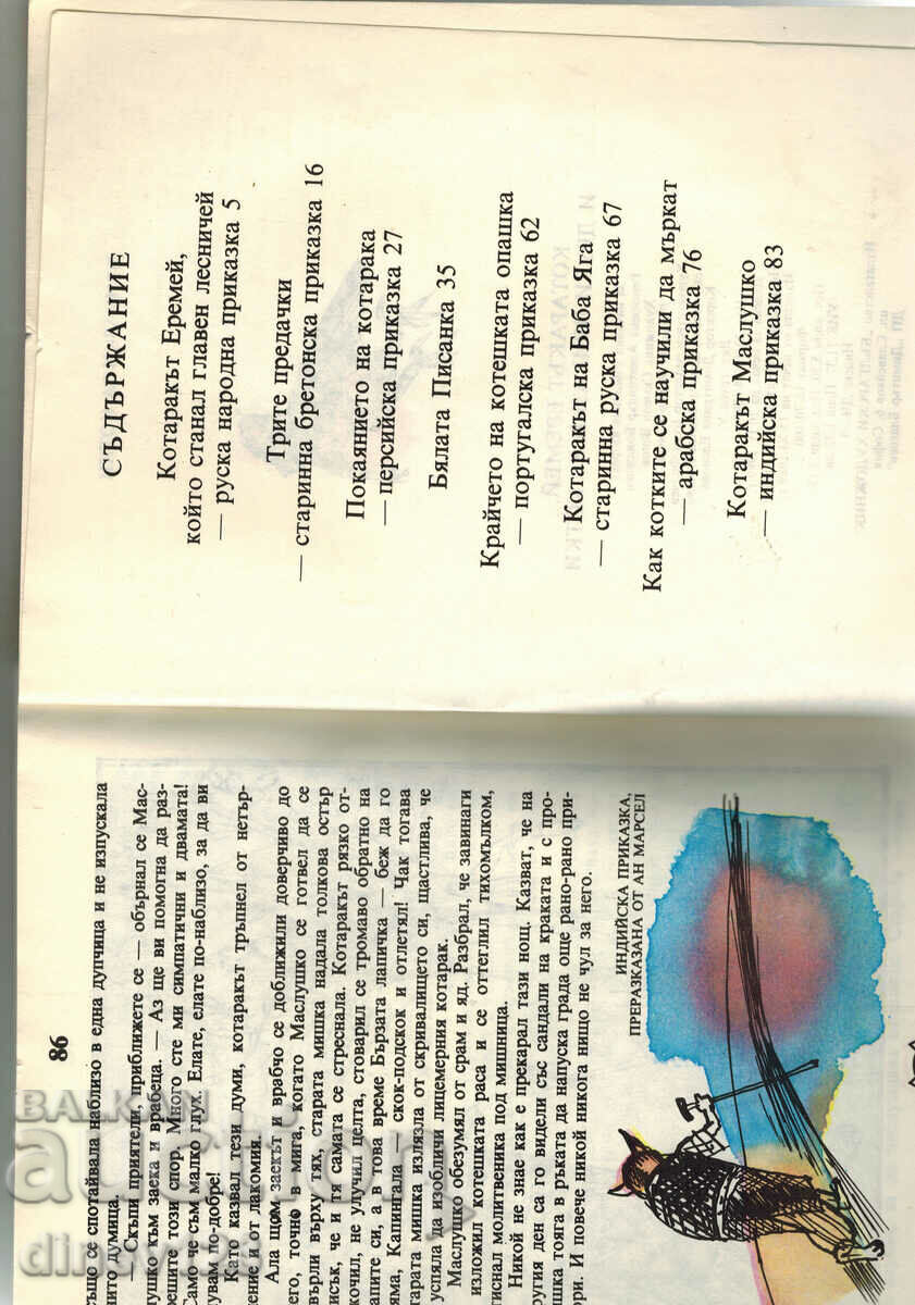 Auction JEREMY THE CAT Auction JEREMY THE CAT