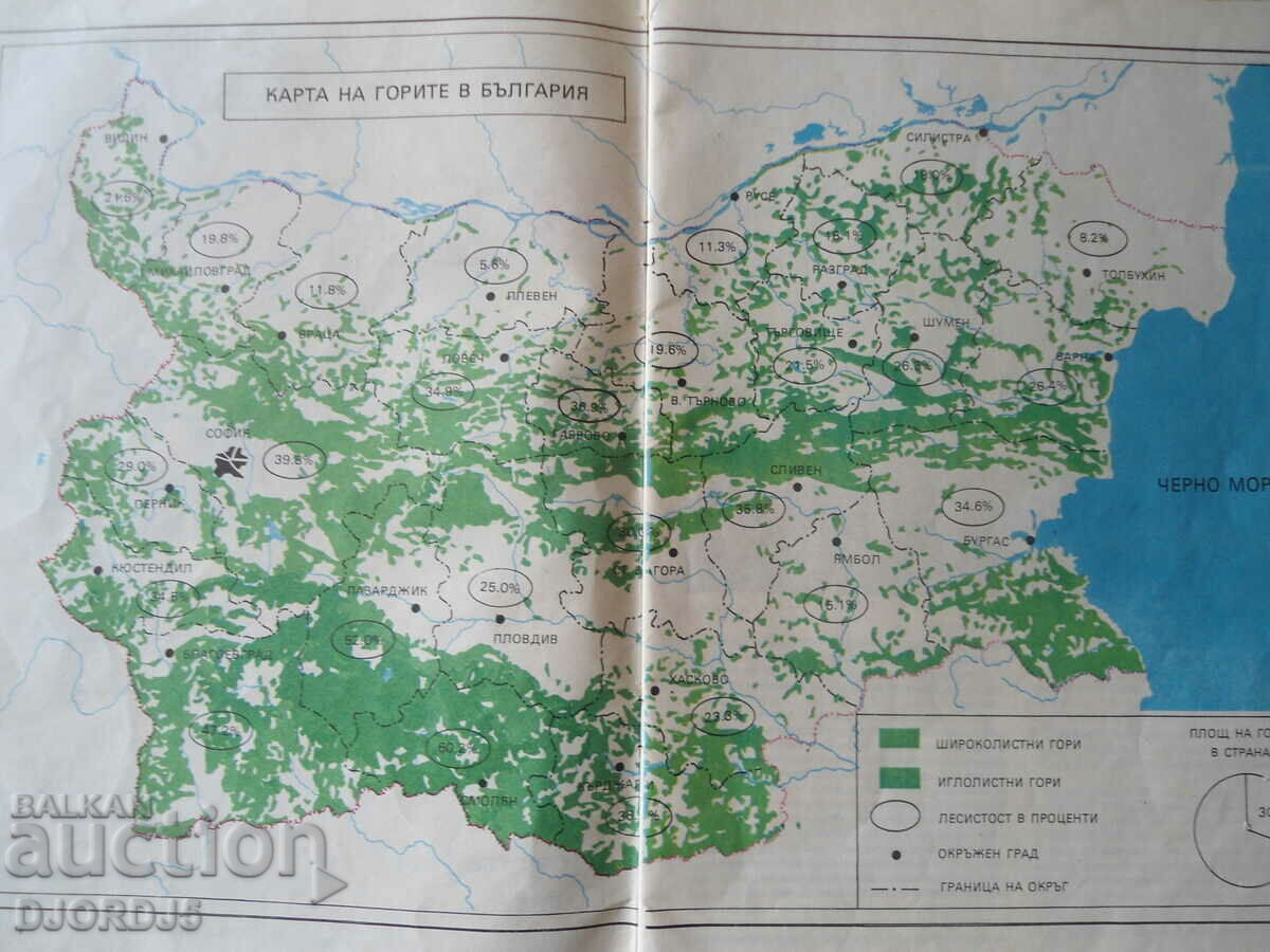 Auction  Visiting the forest, Christos Tenev