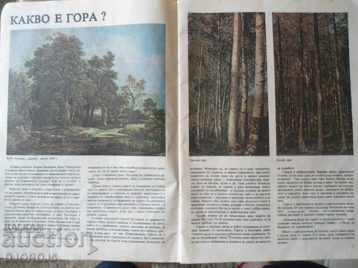 Delivery of Visiting the forest, Christos Tenev