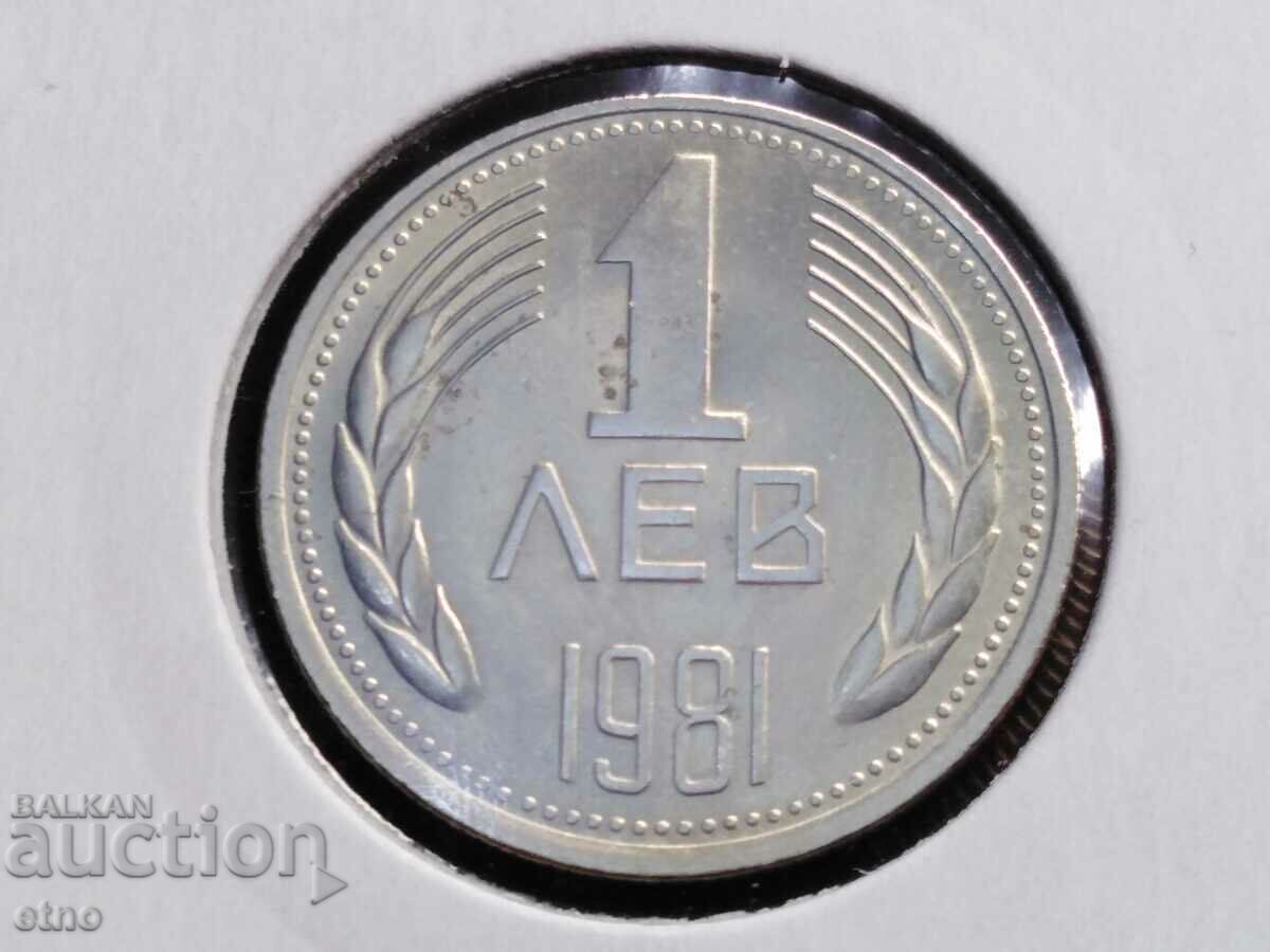 1 BGN 1981, coin, coins
