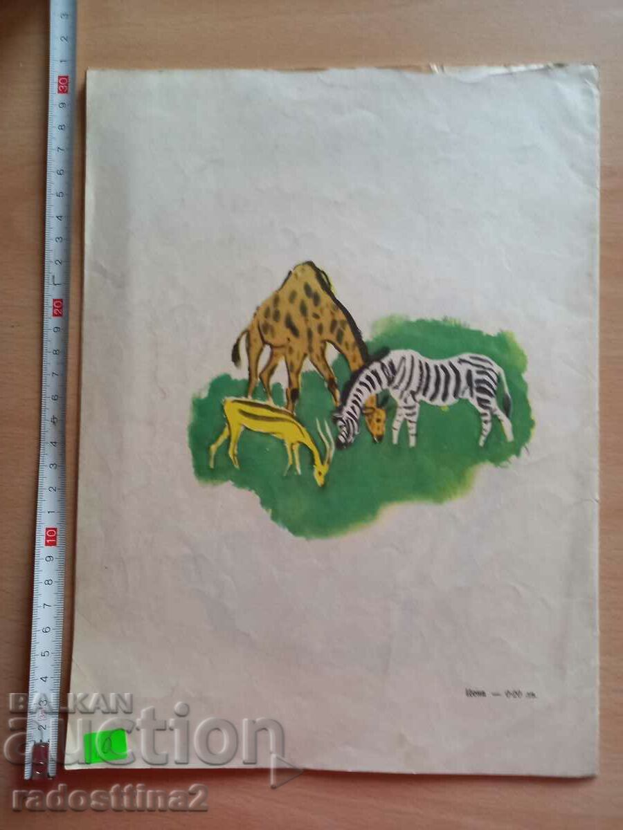 The Lion and the Monkey Kiril Grivek with price 9.99 BGN | € 5.11 The Lion and the Monkey Kiril Grivek with price 9.99 BGN | € 5.11