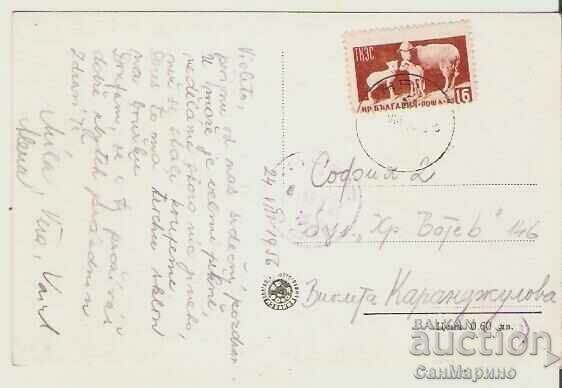 Card Bulgaria Varna (Stalin) Beach 1* with price 2.50 BGN | € 1.28 Card Bulgaria Varna (Stalin) Beach 1* with price 2.50 BGN | € 1.28