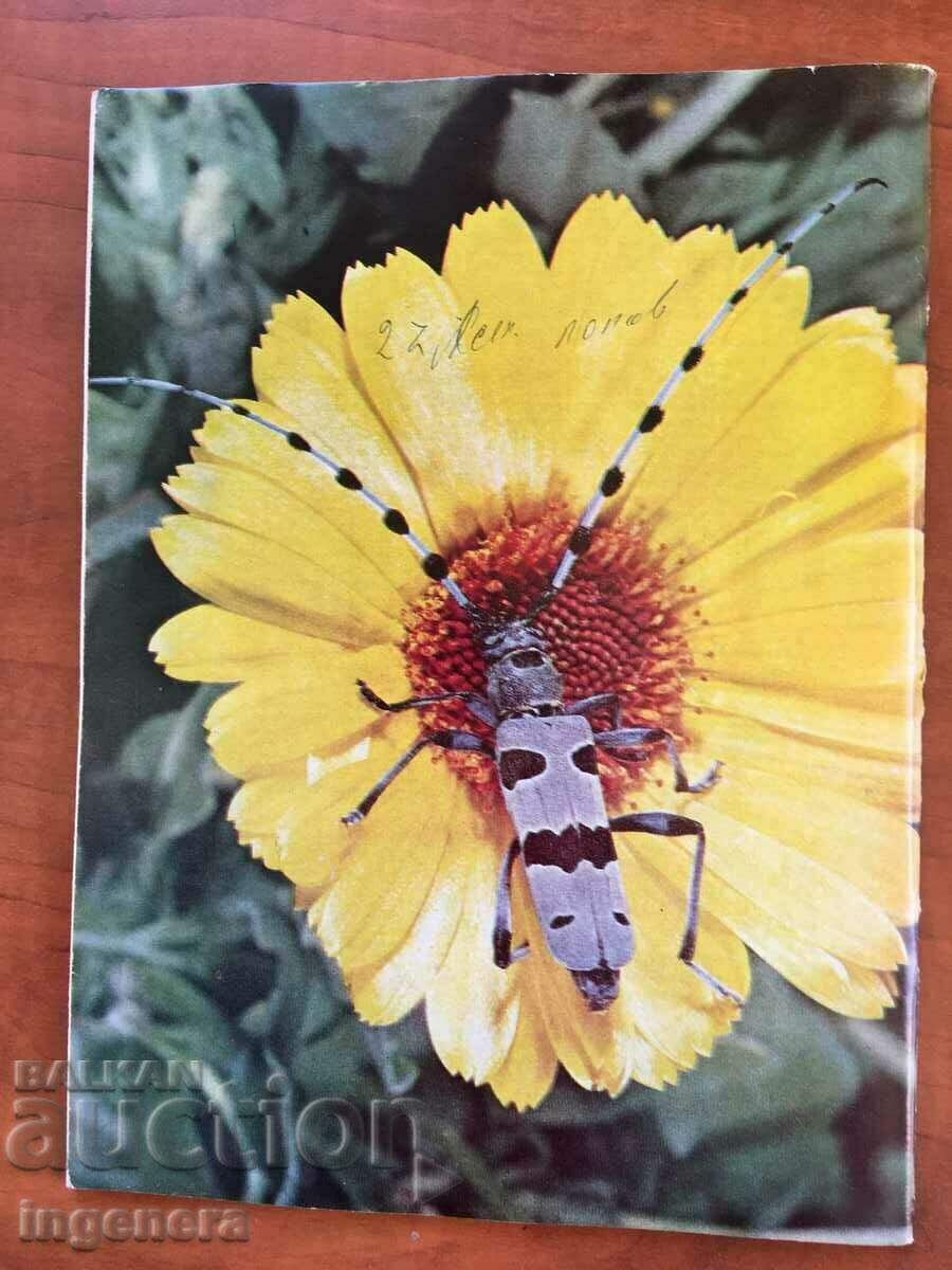 KOSMOS MAGAZINE KN-2/1979 with price 3.00 BGN | € 1.53 KOSMOS MAGAZINE KN-2/1979 with price 3.00 BGN | € 1.53