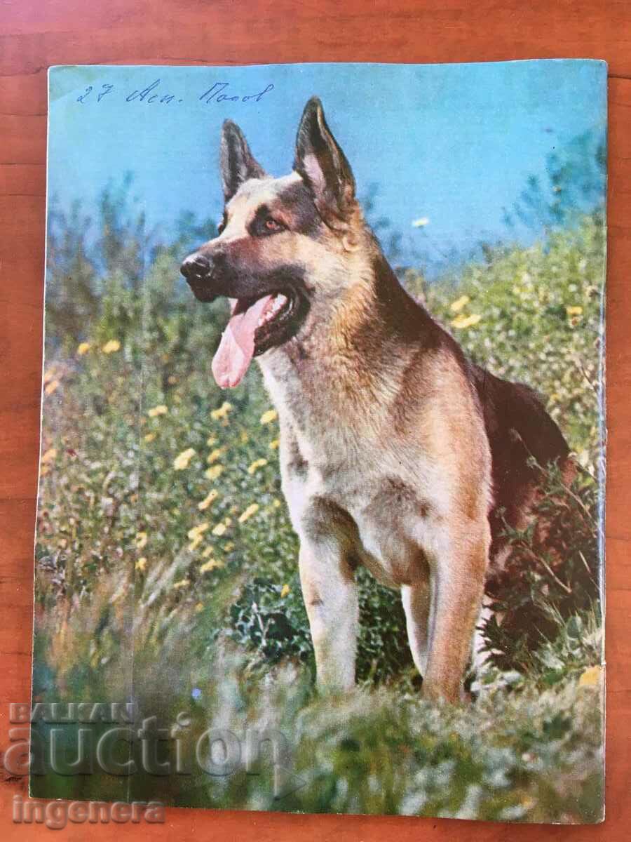 KOSMOS MAGAZINE KN-5/1979 with price 3.00 BGN | € 1.53 KOSMOS MAGAZINE KN-5/1979 with price 3.00 BGN | € 1.53