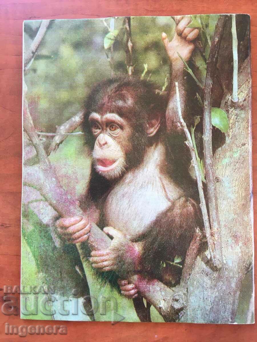 KOSMOS MAGAZINE KN-6/1979 with price 3.00 BGN | € 1.53 KOSMOS MAGAZINE KN-6/1979 with price 3.00 BGN | € 1.53