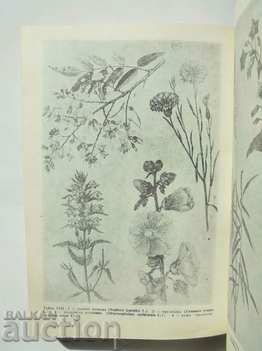 Beekeeping encyclopedia - Stoyko Nedyalkov and others. 1991 - 6 Beekeeping encyclopedia - Stoyko Nedyalkov and others. 1991 - 6