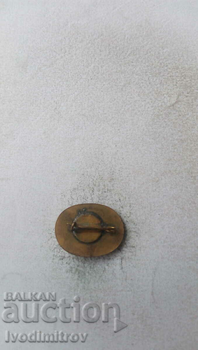 Badge Juniors and girls I degree with price 2.85 BGN | € 1.46