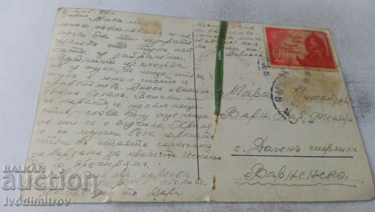 Postcard Three Fluffy Dogs 1944 with price 1.85 BGN | € 0.95 Postcard Three Fluffy Dogs 1944 with price 1.85 BGN | € 0.95