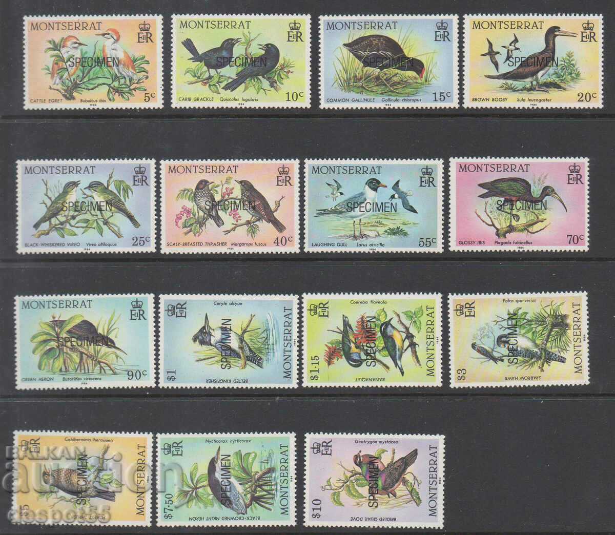 1984. Montserrat. Birds. SPECIMEN.