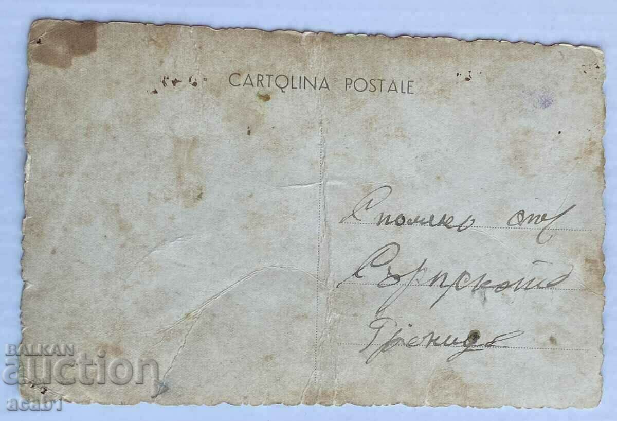 Bulgarian in the Serbian army with price 14.99 BGN | € 7.66 Bulgarian in the Serbian army with price 14.99 BGN | € 7.66