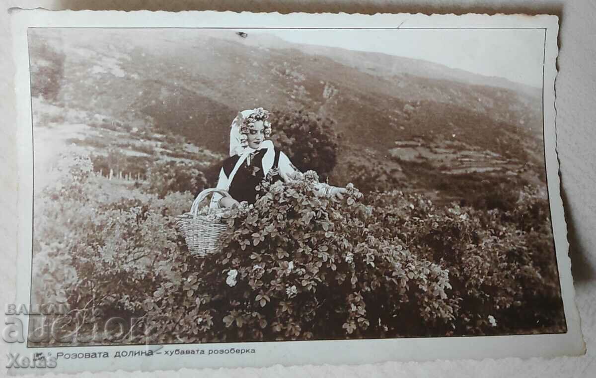 Стара пощенска картичка Розова долина розобер 1930-те