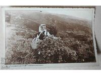 Παλιά καρτ ποστάλ Rose Valley Roseberry δεκαετία του 1930