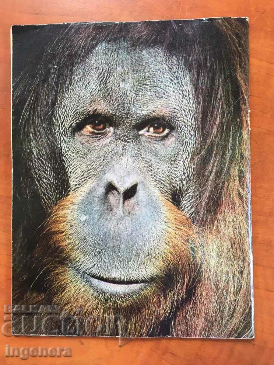 KOSMOS MAGAZINE KN-7/1977 with price 3.00 BGN | € 1.53 KOSMOS MAGAZINE KN-7/1977 with price 3.00 BGN | € 1.53