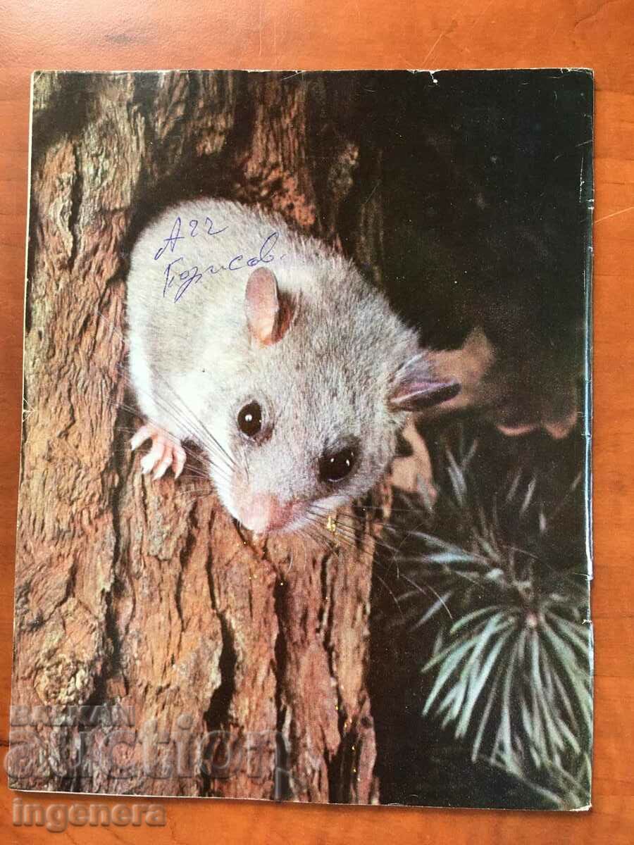 KOSMOS MAGAZINE KN-3/1977 with price 3.00 BGN | € 1.53