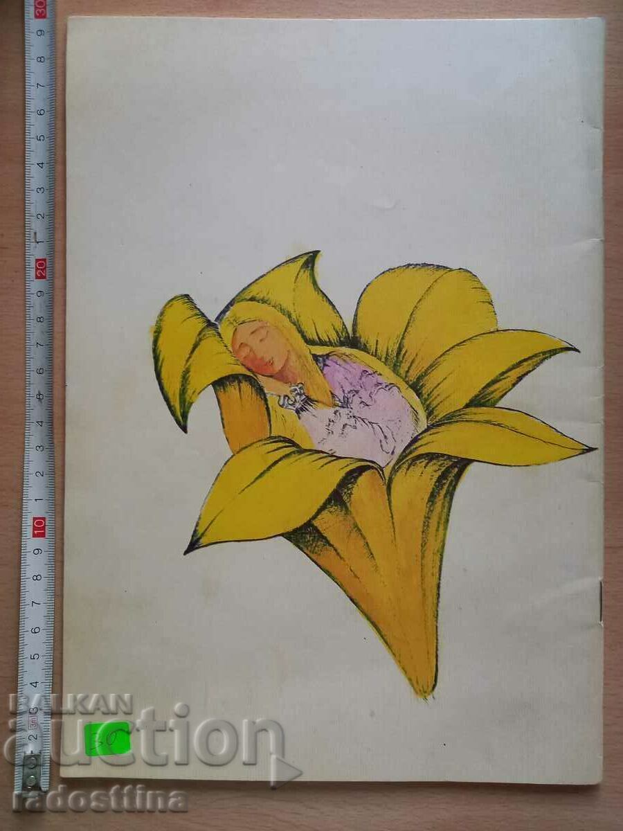 The Bistra Van de Zande black scarf with price 9.99 BGN | € 5.11 The Bistra Van de Zande black scarf with price 9.99 BGN | € 5.11