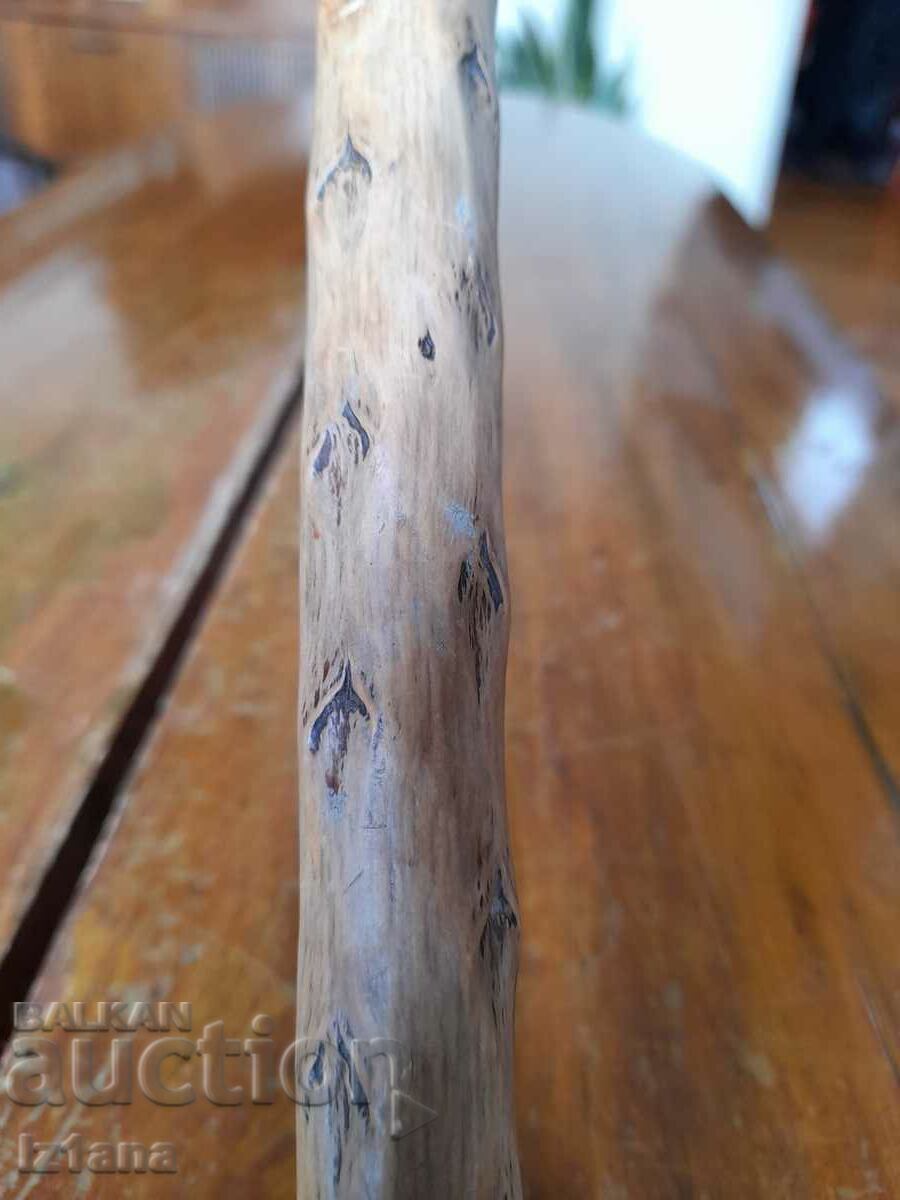 Auction An old cane Auction An old cane