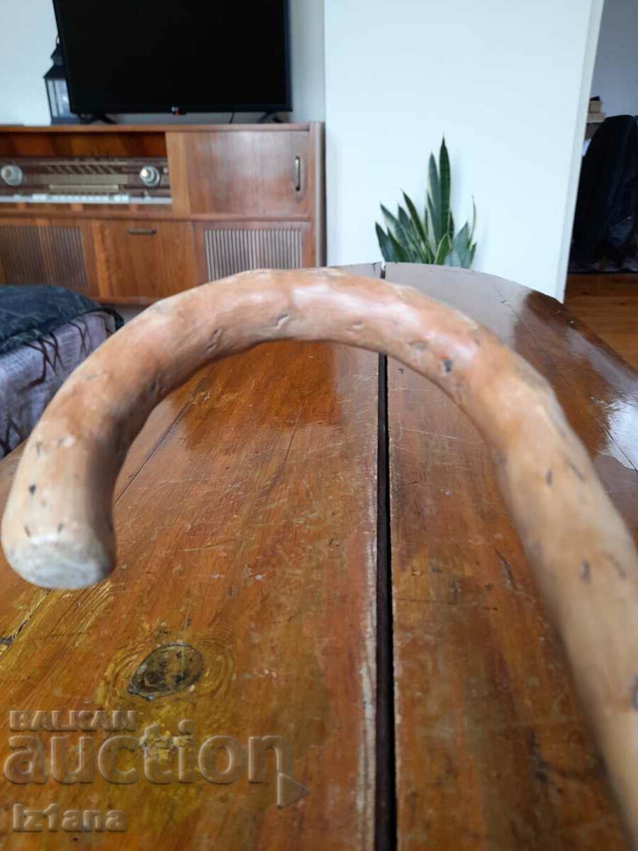 An old cane - 6 An old cane - 6