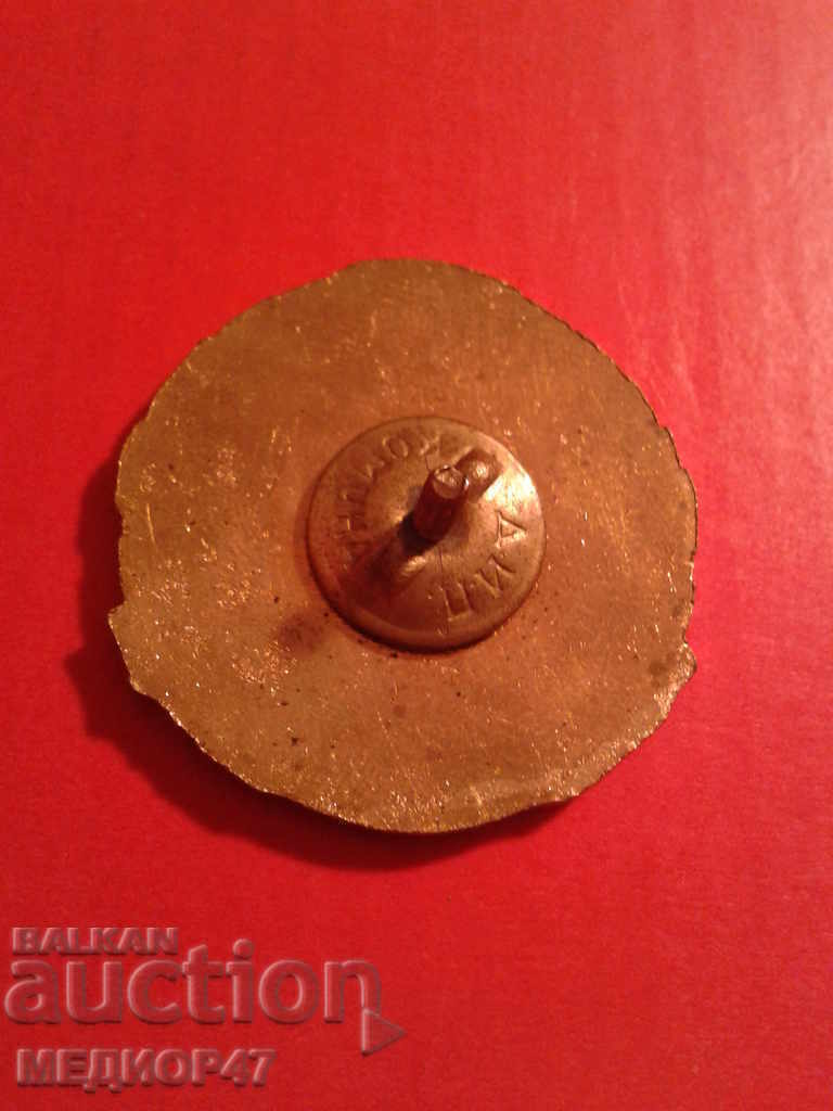 Badge - Read the description - 5 Badge - Read the description - 5