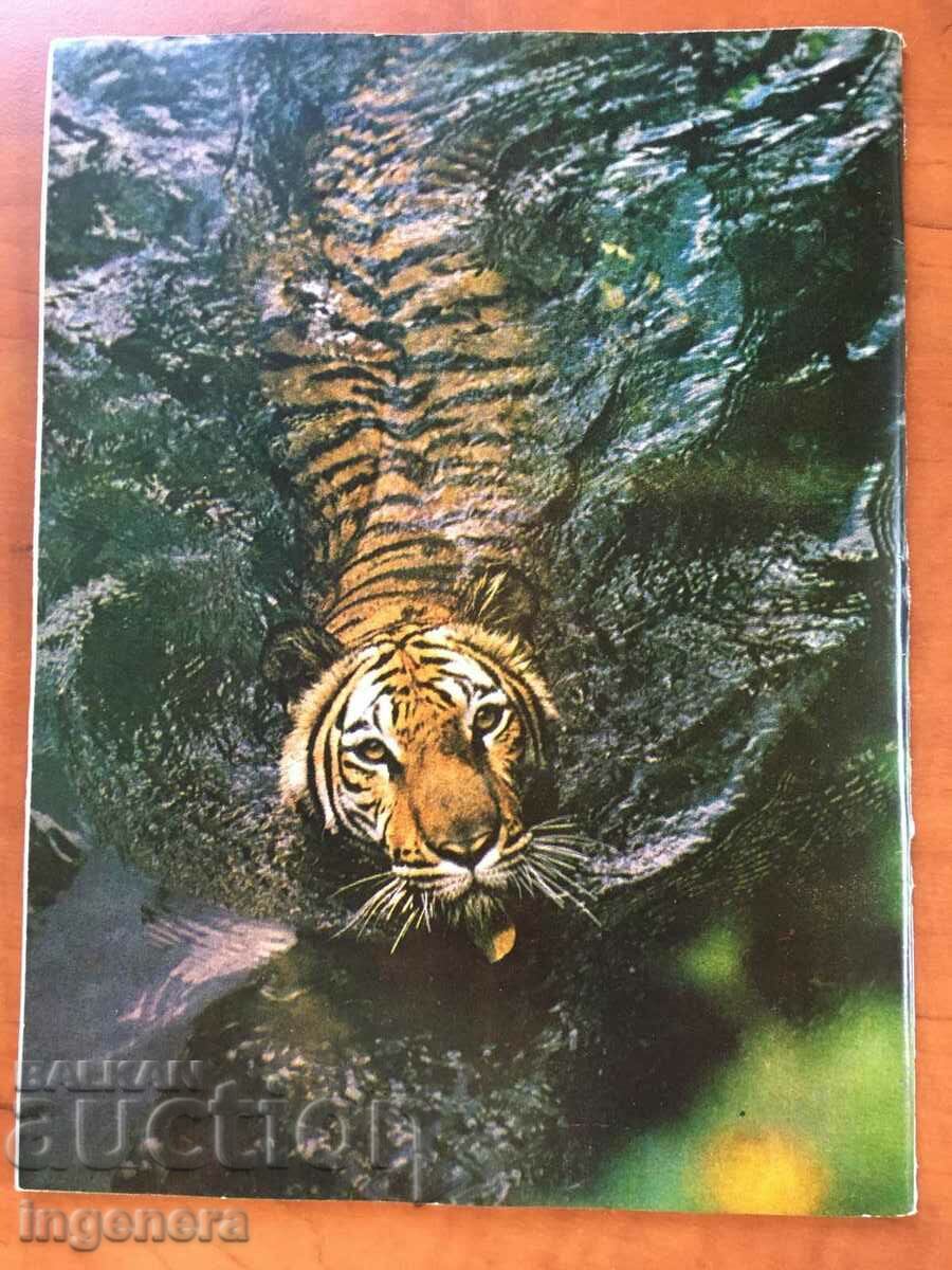 KOSMOS MAGAZINE KN-9/1979 with price 3.00 BGN | € 1.53 KOSMOS MAGAZINE KN-9/1979 with price 3.00 BGN | € 1.53