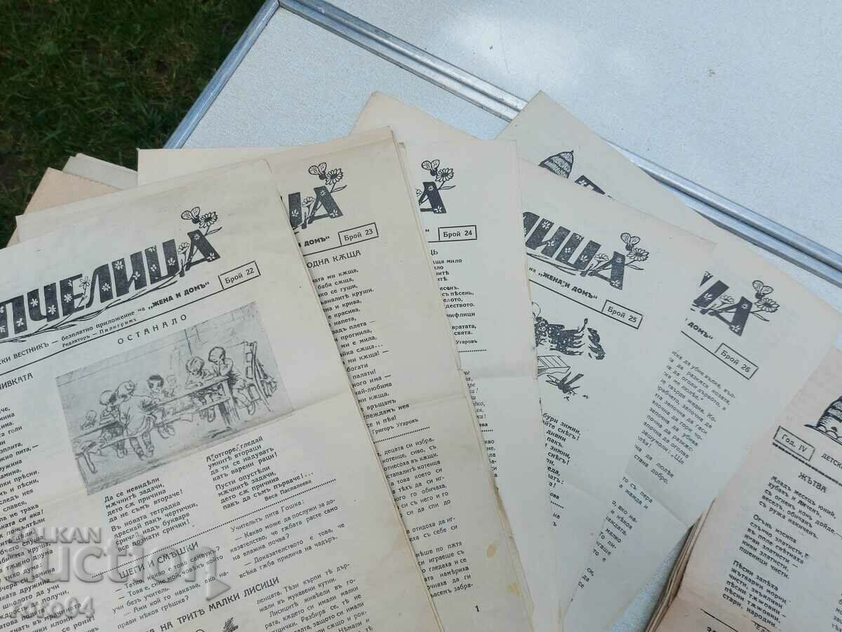 Licitație ALBINA - 19 NUMERE Licitație ALBINA - 19 NUMERE