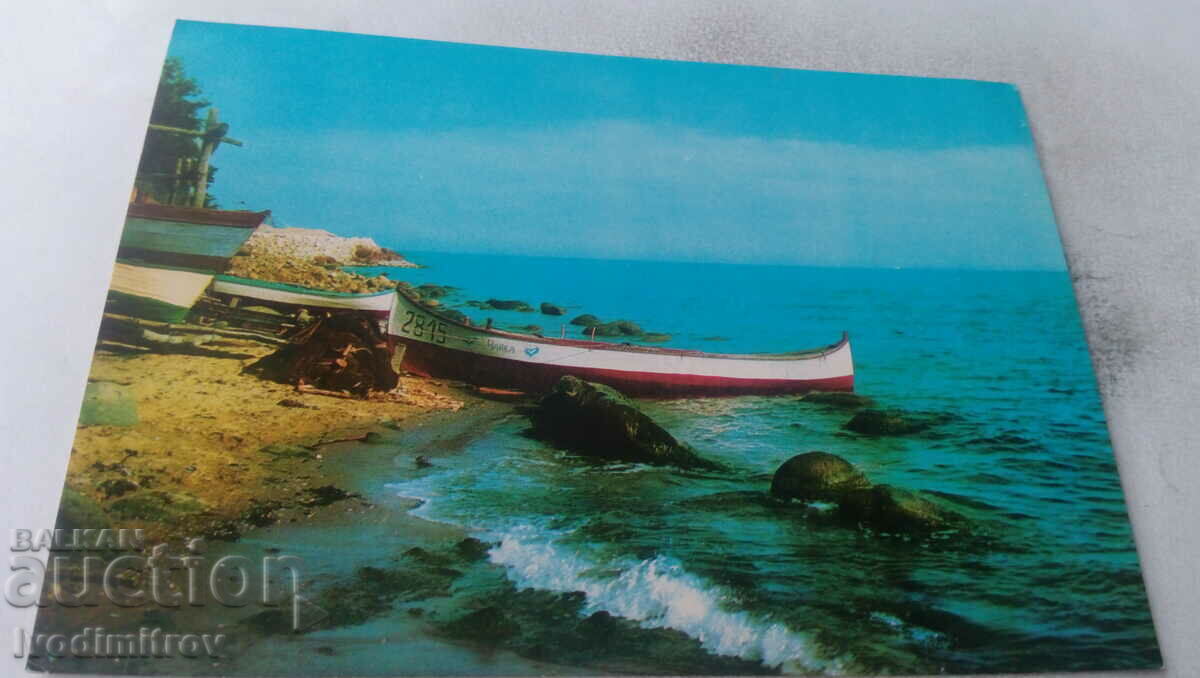 Postcard White By the seashore 1974