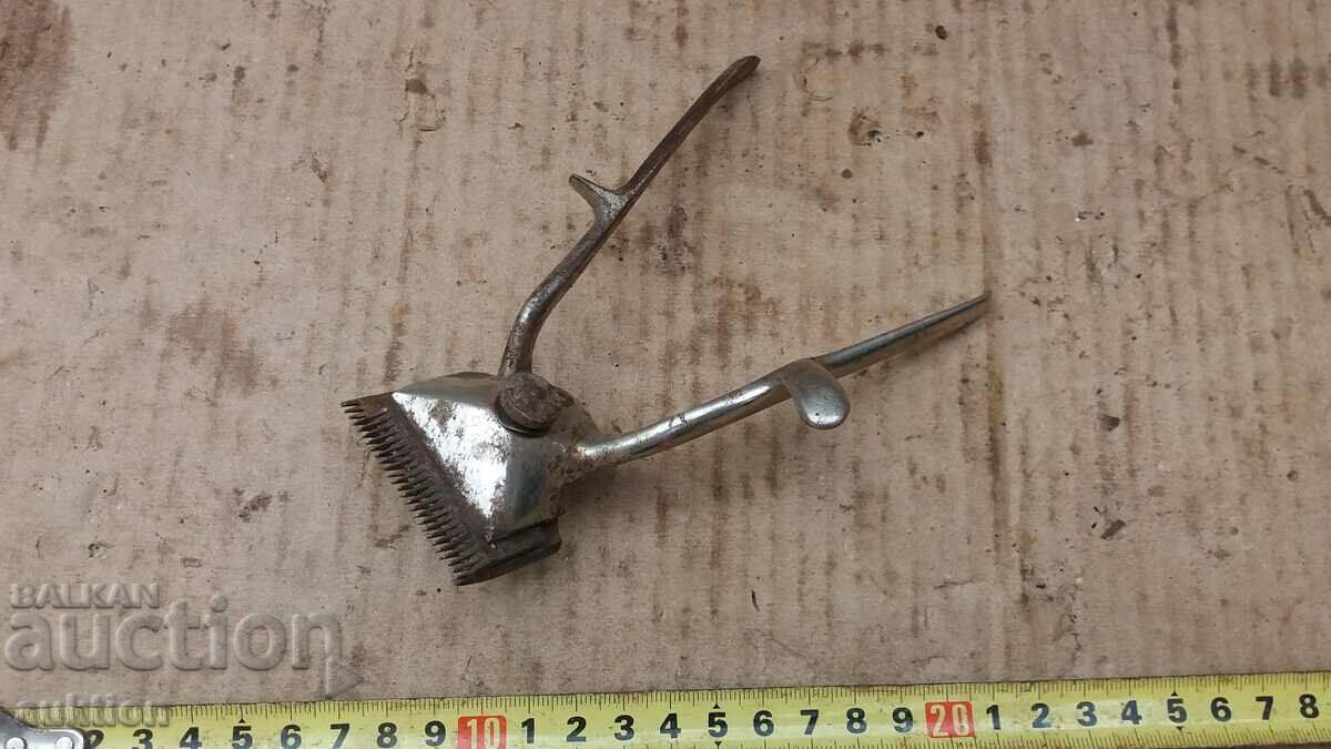 EXCELLENT RENAISSANCE CLIPPER with price 9.99 BGN | € 5.11 EXCELLENT RENAISSANCE CLIPPER with price 9.99 BGN | € 5.11