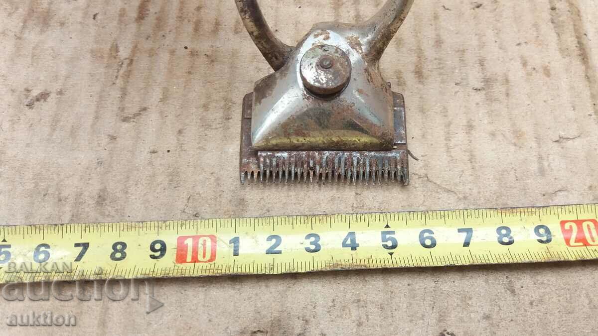 Auction EXCELLENT RENAISSANCE CLIPPER Auction EXCELLENT RENAISSANCE CLIPPER