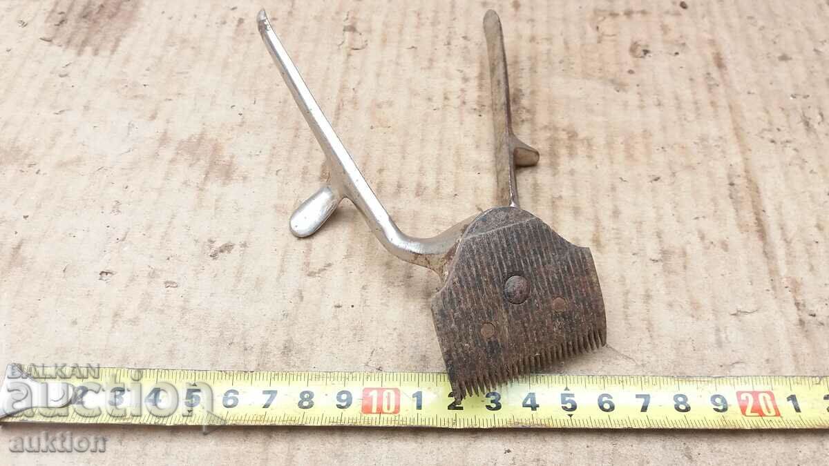 EXCELLENT RENAISSANCE CLIPPER - 5 EXCELLENT RENAISSANCE CLIPPER - 5