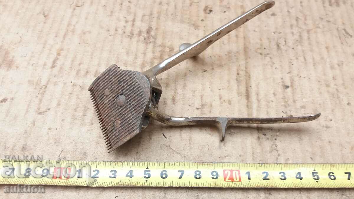 EXCELLENT RENAISSANCE CLIPPER - 6 EXCELLENT RENAISSANCE CLIPPER - 6